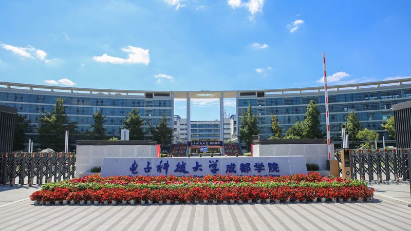 电子元器件：品牌与杂牌的五大差异解析